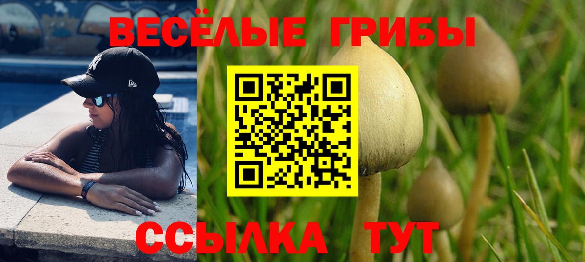 Псилоцибиновые грибы Magic Shrooms Екатеринбург